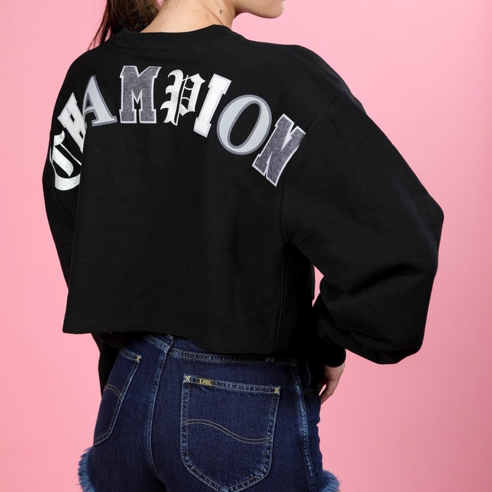 RARE champion hoodie